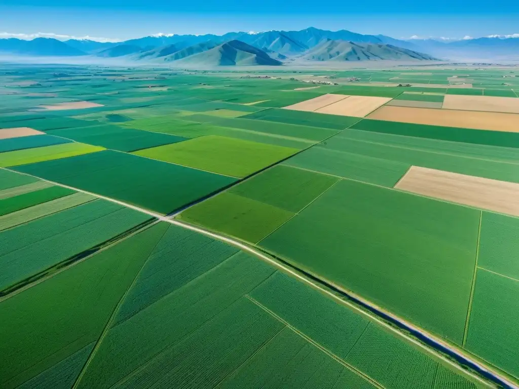 Vista aérea de campos agrícolas verdes, trabajadores y ganado