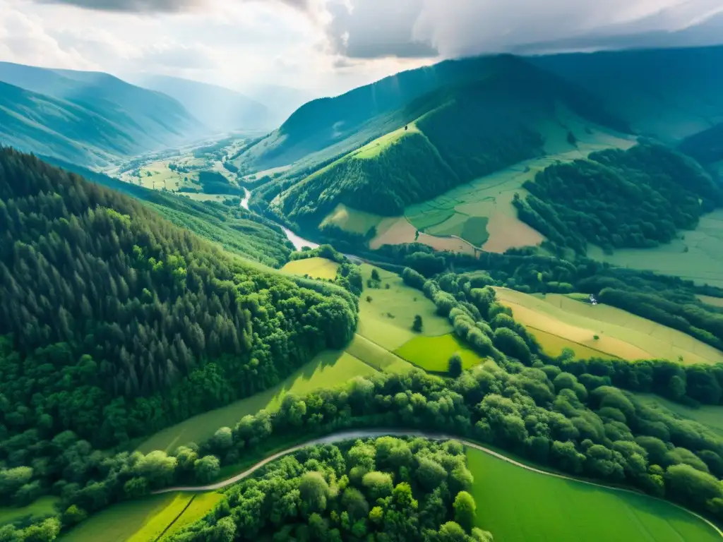 Vista aérea impresionante de los Montes Cárpatos con valles verdes, bosques densos y una fortaleza medieval